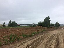 Строительную компанию оштрафовали на 130 тысяч рублей за организацию свалки в Мытищах