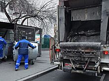 В Новосибирске МУП «Спецхозяйство» подало иск о банкротстве перевозчика мусора «Айсберг»