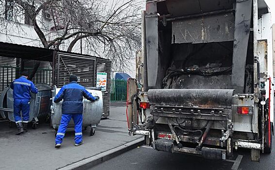 В Новосибирске МУП «Спецхозяйство» подало иск о банкротстве перевозчика мусора «Айсберг»
