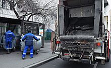 В Новосибирске МУП «Спецхозяйство» подало иск о банкротстве перевозчика мусора «Айсберг»