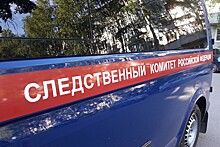 СК попросит суд арестовать министра культуры Крыма Новосельскую