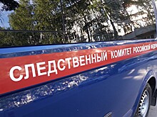 СК попросит суд арестовать министра культуры Крыма Новосельскую