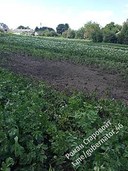 Губернатор Курской области сообщил об обстреле со стороны Украины