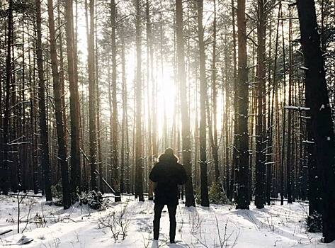В Новосибирской области охотоведы нашли в лесу заблудившегося мужчину