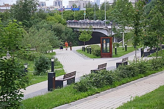 Модные тренды озеленения городов не учитывают принципы природного земледелия