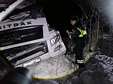 На свердловской трассе в аварии с грузовиками 24-летняя пассажирка вылетела через лобовое стекло