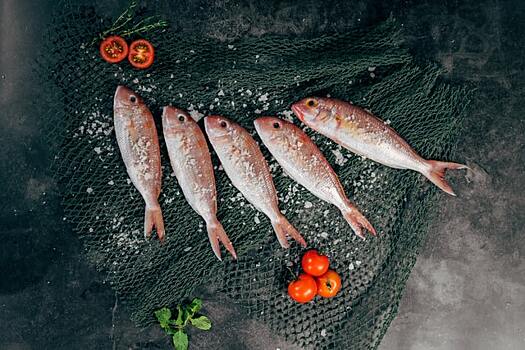 Глава Росрыболовства назвал новые рынки экспорта рыбы
