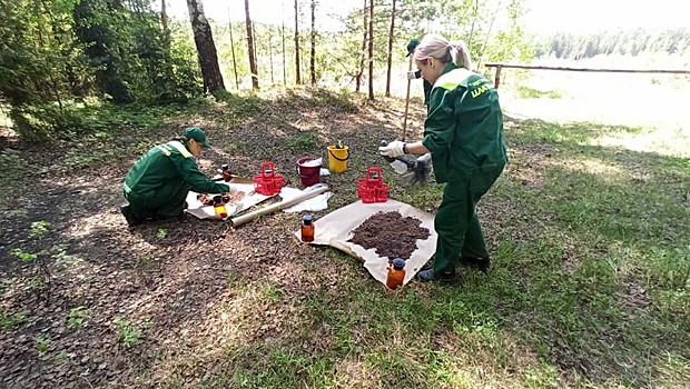Семеновское МБУ «Благоустройство города» оштрафовали на 4,1 млн рублей