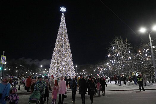 Комиссия Думы по соцполитике обсудила итоги каникул в Новогодней столице России