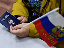 Военблогер указал на парадокс при фильтрации украинцев, въезжающих в Россию
