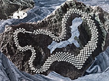 Alrosa Diamonds: что происходит с бриллиантами сегодня