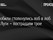 Автомобили столкнулись лоб в лоб возле Луги – пострадали трое