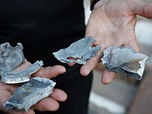 Село в Брянской области обстреляли со стороны Украины
