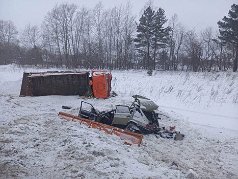 Три человека погибли в ДТП на трассе в Новосибирской области