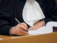 В Верховном суде России оценили влияние детей на приговор