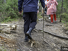 Власти Пермского края продлили запрет на посещение лесов