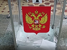 Волгоградцы голосуют активнее, чем на прошлых выборах президента