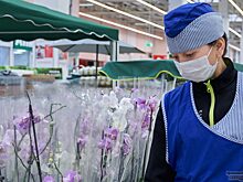 Более 35 тюменских предприятий работали в нарушение особого режима