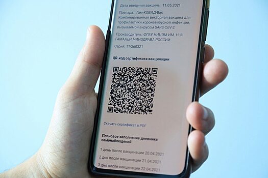 В национальном парке «Красноярские Столбы» потребуется QR-код