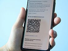 В национальном парке «Красноярские Столбы» потребуется QR-код