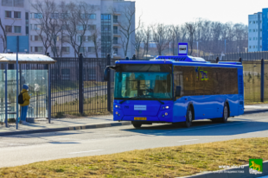 Владивостокцы активно включились в модернизацию новой маршрутной сети