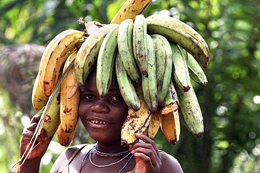 Врачи рассказали, кому жизненно необходимо есть бананы