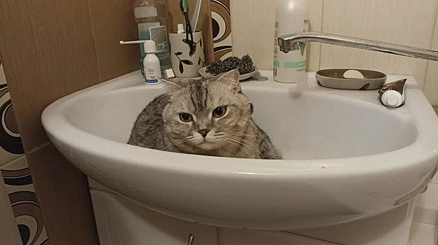 Надымчане на два дня останутся без воды