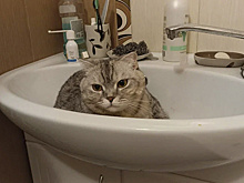 Надымчане на два дня останутся без воды