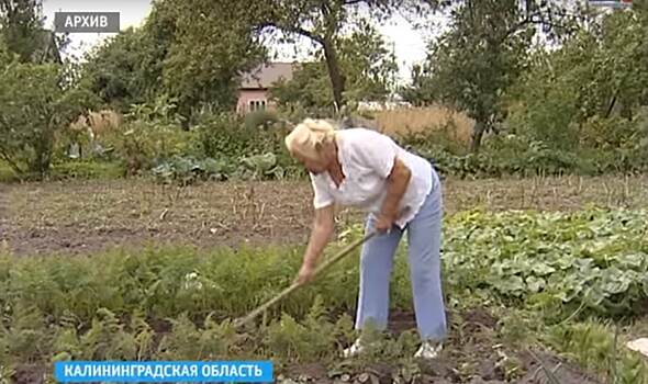 В региональный градостроительный закон внесут изменения