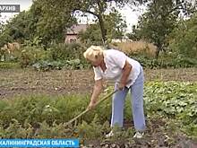 В региональный градостроительный закон внесут изменения