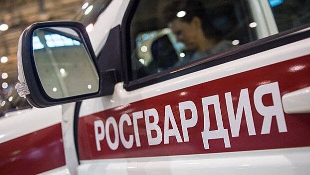 В Петрозаводске машина Росгвардии сбила инвалида-колясочника