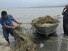 В Киргизии очищают Иссык-Куль от бесхозных рыболовных сетей
