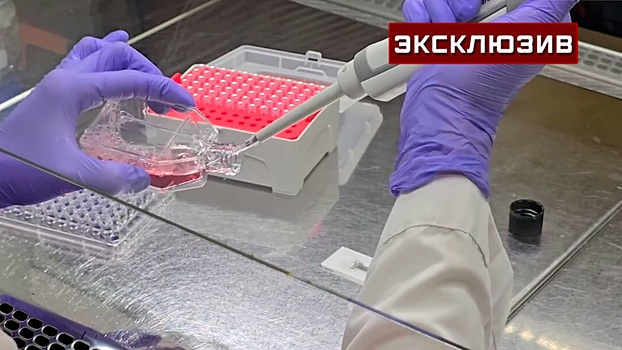 Гематологи рассказали, как действует первый отечественный препарат от рака