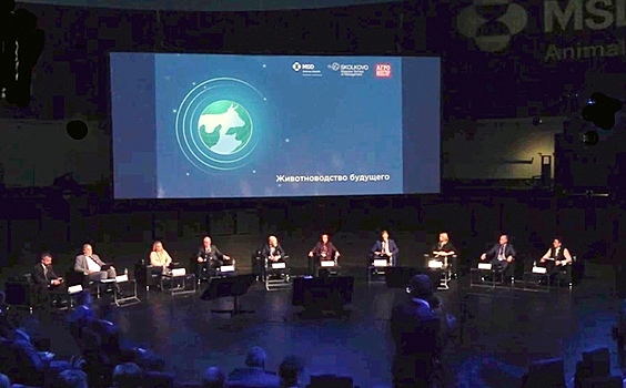 «Животноводство будущего»: ведущие российские и международные эксперты обсудили проблему «Единого здоровья», а также инновации в современном животноводстве