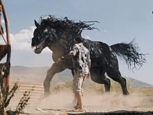Лошадь-веном на новом постере фильма «Веном: Последний танец»
