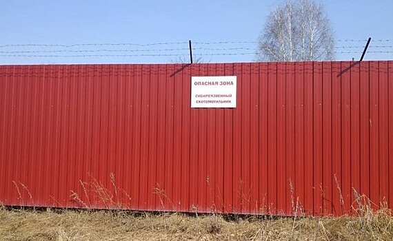 Васильевских дачников напугал сибиреязвенный скотомогильник
