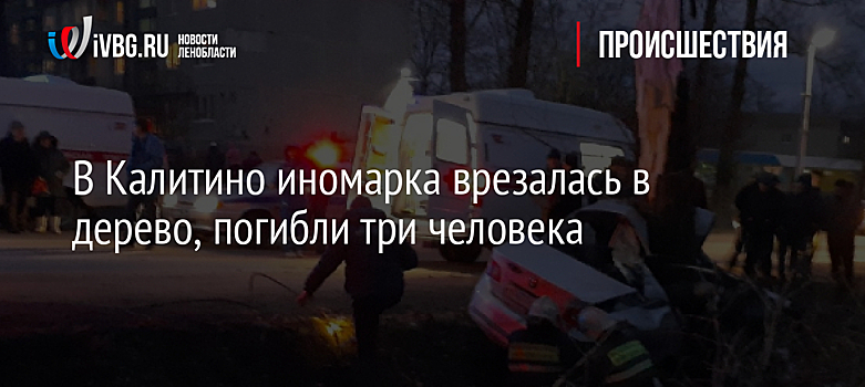 В Калитино иномарка врезалась в дерево, погибли три человека