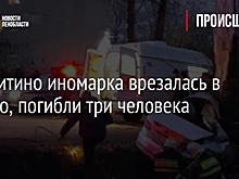 В Калитино иномарка врезалась в дерево, погибли три человека