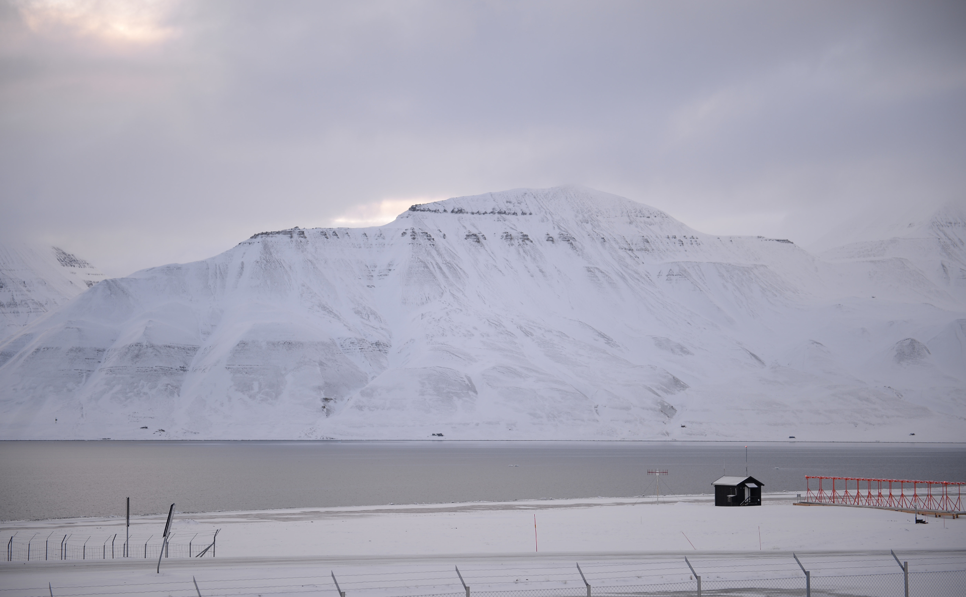 На Шпицбергене нашли нехарактерные для Арктики лишайники