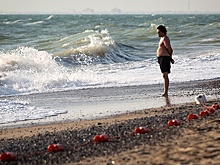 За чистотой черноморской воды будут следить из космоса