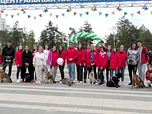 В Волгограде состоялся благотворительный забег с животными из приюта