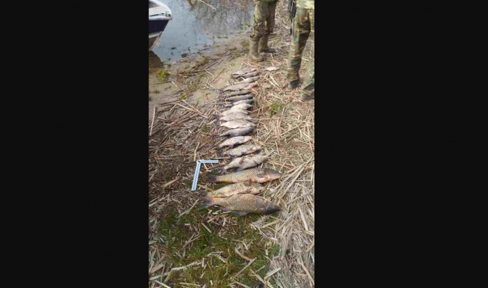 В Волгоградской области поймали трех браконьеров с 18,5 кг рыбы