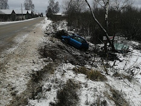 Женщина водитель протаранила дерево в Тверской области