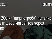 Почти 200 кг "ширпотреба" пытались провезти двое мигрантов через Пулково