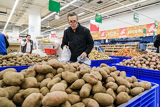 Картофель класса «эконом» начнут продавать в России