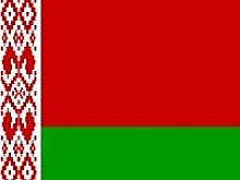 Прогноз на матч Беларусь - Сан-Марино: какой победы ждать от команды Криушенко