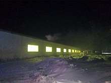 150 коров спасли на пожаре в селе Бедрино под Новосибирском