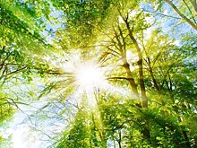 Социолог объяснила, почему люди часто обсуждают погоду