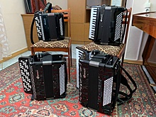 Два баяна и два аккордеона поступили в детскую школу искусств в Балезино