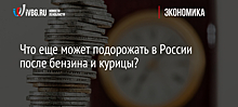 Что еще может подорожать в России после бензина и курицы?